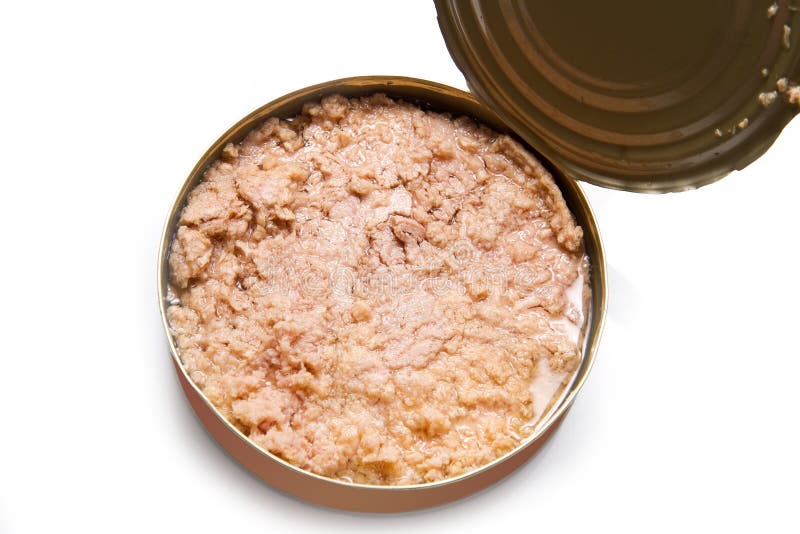 Tuna Fish in Oil, Canned Food Stock Image Image of lunch, seafood