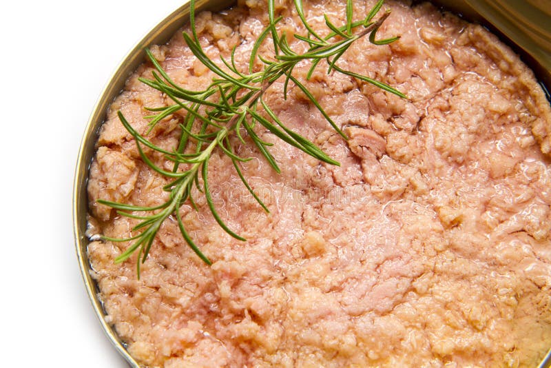 Tuna Fish in Oil, Canned Food Stock Image Image of lunch, seafood