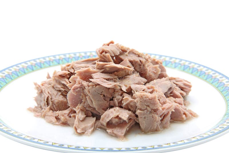 Tuna meat stock image. Image of healthy, full, blank 20786517