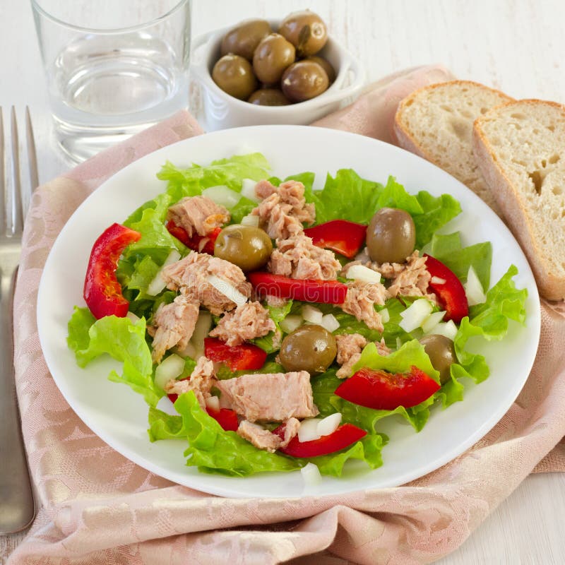 Tuna salad on the plate stock image. Image of meal, pepper 27783375