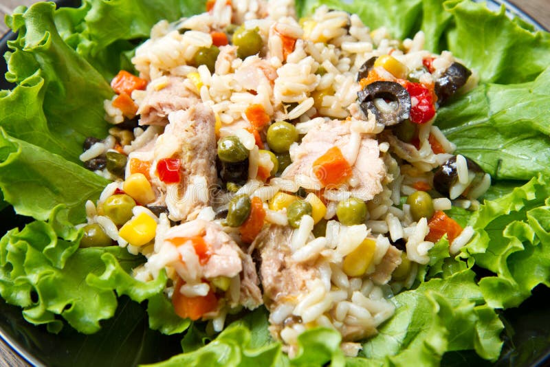 Tuna Salad with Rice and Vegetables Stock Photo Image of dish, mais