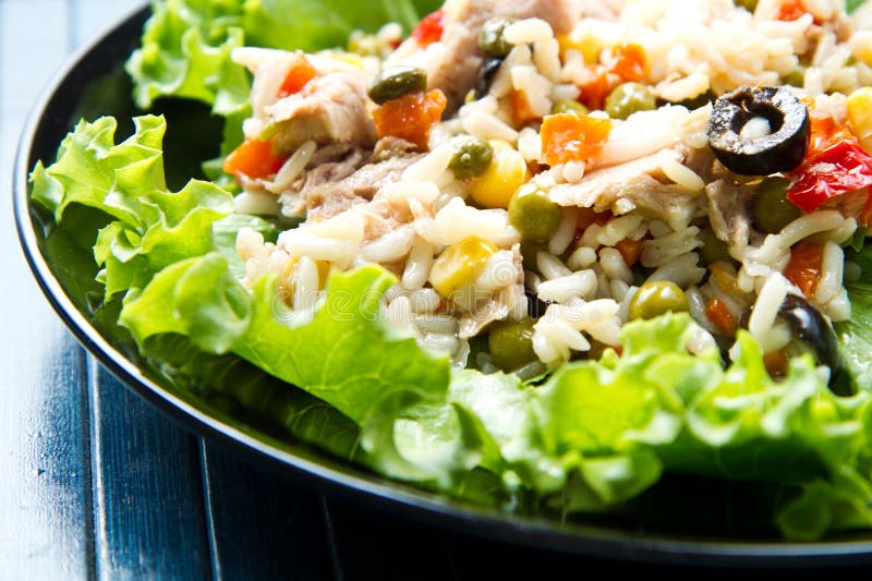 Tuna Salad with Rice and Vegetables Stock Image Image of vegetables