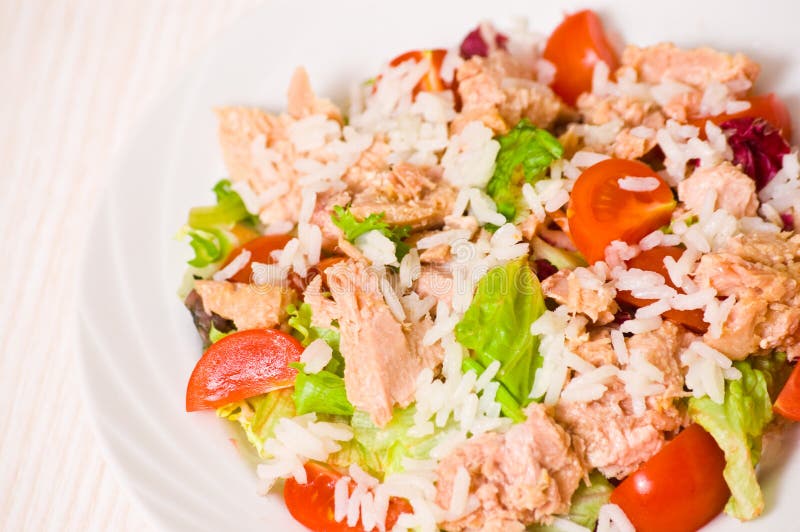 Tuna Salad with Rice and Vegetables Stock Image Image of dish