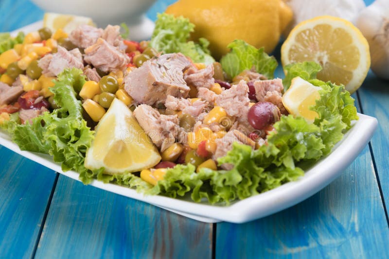 Tuna salad with vegetables stock photo. Image of meal 246831672