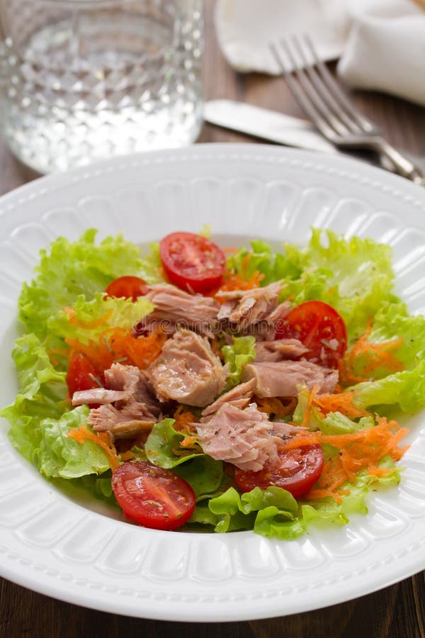 Tuna salad on white plate stock photo. Image of vegetable - 69451132