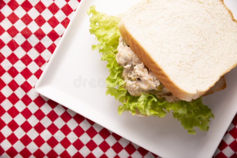 Tuna Sandwich with Lettuce Topview Stock Photo Image of homemade