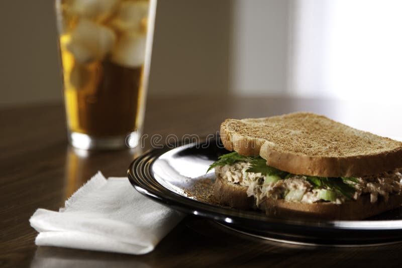 Tuna sandwich lunch stock photo. Image of drink, cube 18594468