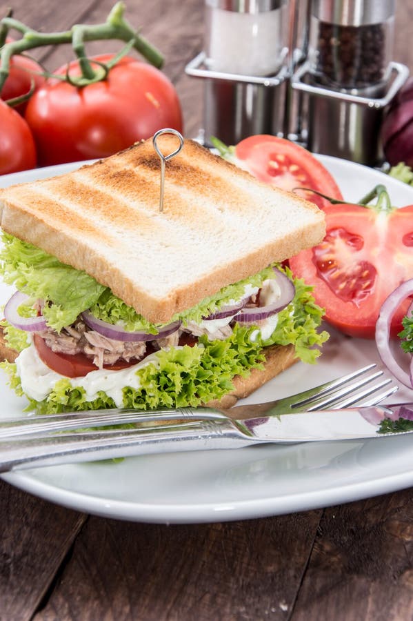 Tuna Sandwich on a plate stock photo. Image of studio 33473038