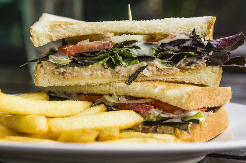 Tuna Sandwich stock photo. Image of potatoes, tuna, breakfast 30327812