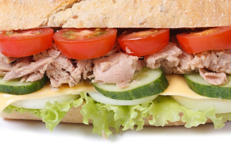 Tuna Sandwich with Vegetables and Cheese Isolated Macro Stock Photo Image of baguette