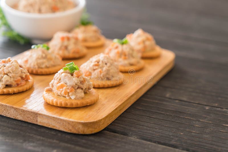 Tuna spread with cracker stock image. Image of sauce 95280023