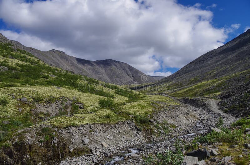 Tundra de la montaña con los musgos y las rocas cubiertos con los liquenes, montañas sobre el Círculo Polar Ártico, península de fotos de archivo libres de regalías Tundra de la montaña con los musgos y las rocas cubiertos con los liquenes, montañas sobre el Círculo Polar Ártico, península de fotos de archivo libres de regalías