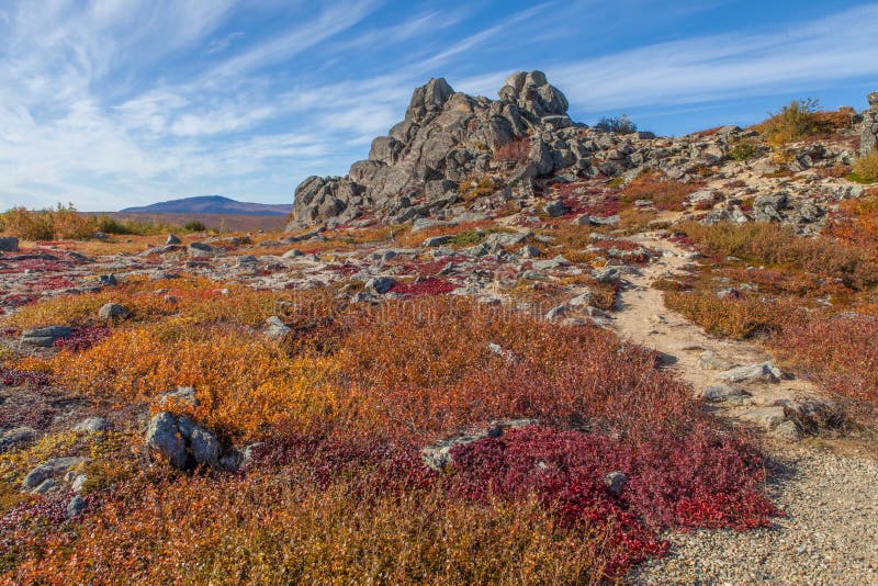 Tundra ártica de Yukon em cores da queda imagens de stock Tundra ártica de Yukon em cores da queda imagens de stock