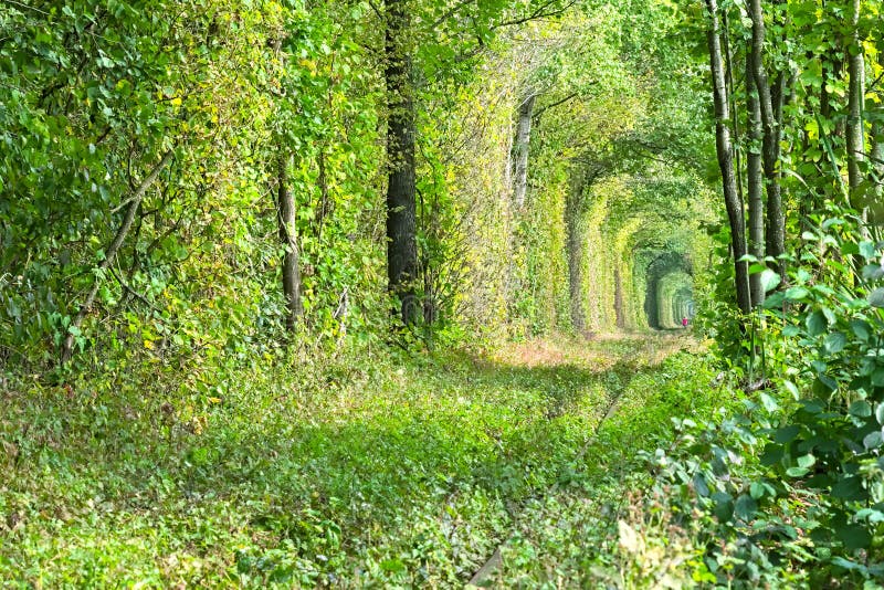 Tunel drzewa chuje starą linię kolejową W odległości ty możesz widzieć sylwetkę osamotniona dziewczyna w czerwieni zdjęcia stock Tunel drzewa chuje starą linię kolejową W odległości ty możesz widzieć sylwetkę osamotniona dziewczyna w czerwieni zdjęcia stock