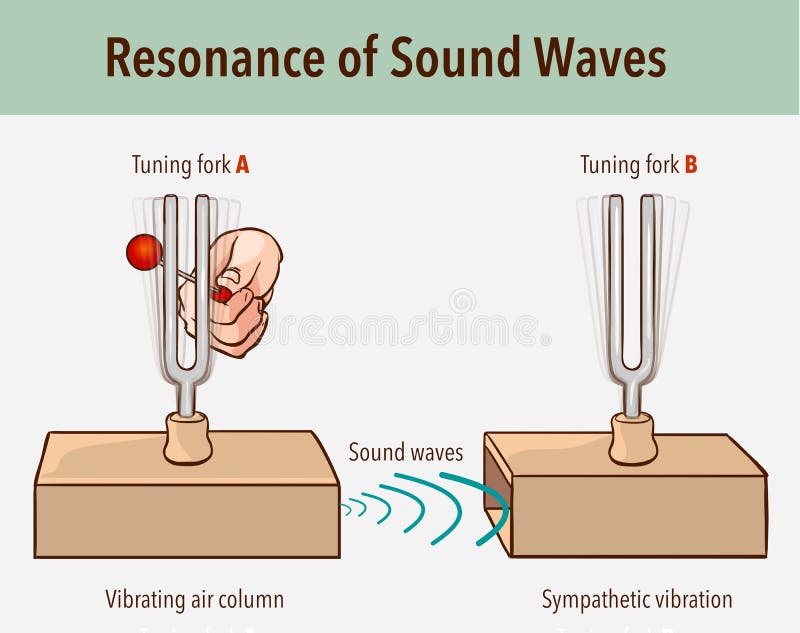 Tuning Fork resonance experiment. When one tuning fork is struck, the other tuning fork of the same frequency will also vibrate in