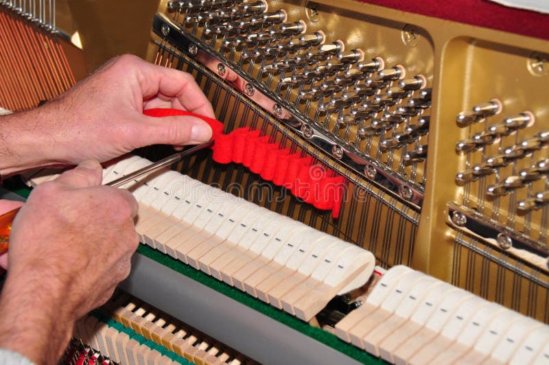 Tuning the piano royalty free stock photo