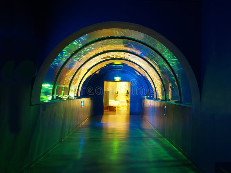 Tunnel in aquarium stock photo. Image of dream, cold 10951792