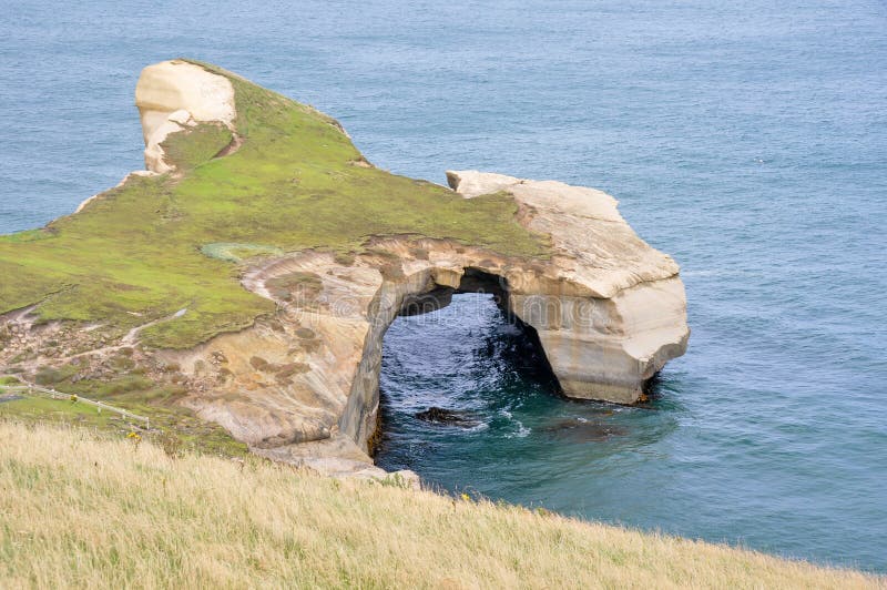 Tunnel Beach, Dunedin, New Zealand, Aerial View Stock Image Image of