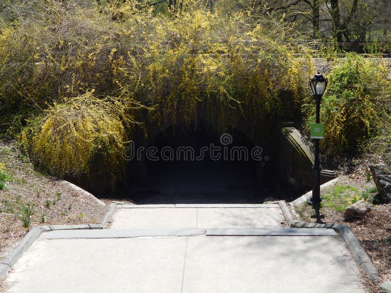 Tunnel in Central Park stock image. Image of park, show 55575213