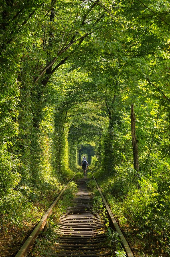 tunnel-love-railway-surrounded-trees-bushes-beautiful-fairy-trees-bushes-91077086.jpg