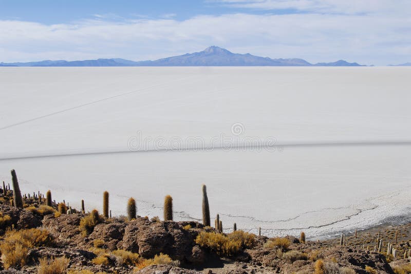 Tunupa salt flats