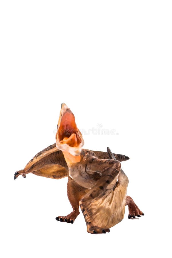 550 Pterodactyl Dinosaur Stock Photos - Free & Royalty-Free Stock Photos  from Dreamstime