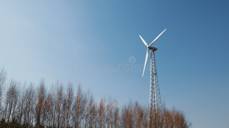 Rotation Du Rotor Du Moteur De La Promenade Derrière Le Tracteur