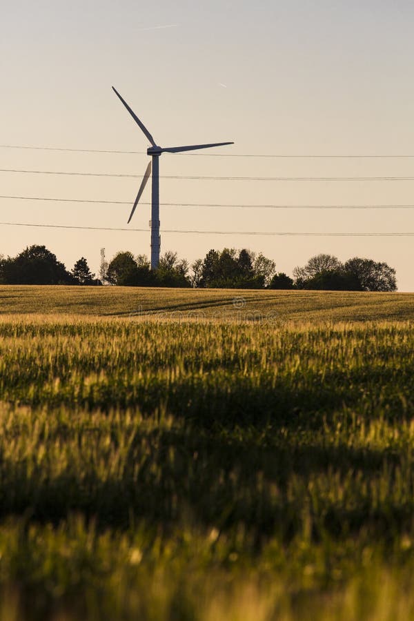 Turbines de vent dans le domaine vert images stock Turbines de vent dans le domaine vert images stock
