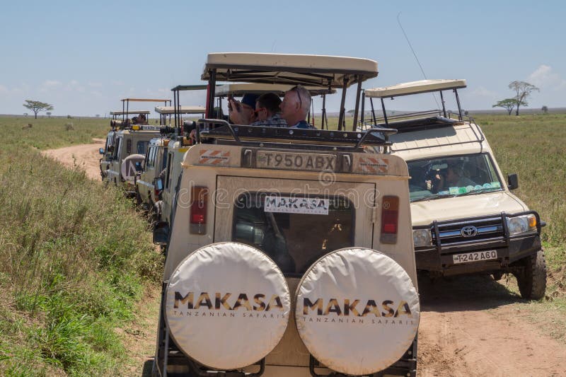Turismo di massa: Turisti di safari che cercano gli animali selvatici Turismo di massa: Turisti di safari che cercano gli animali selvatici