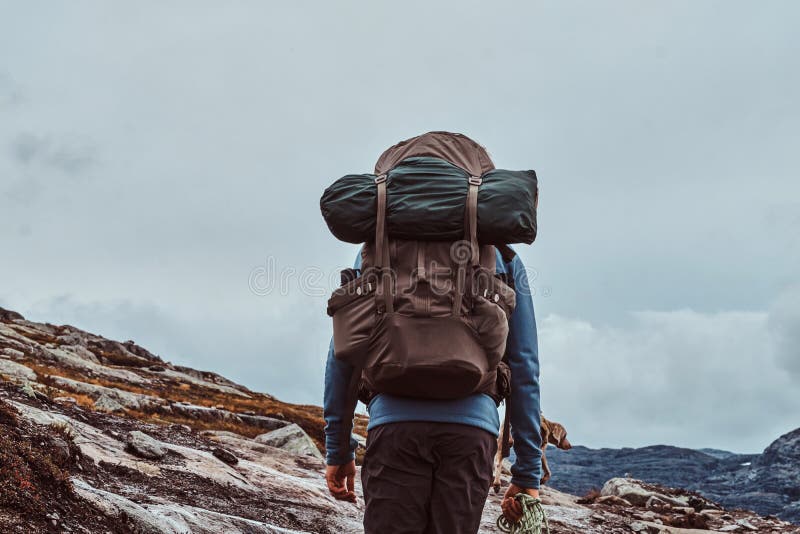 Turista con il suo cane sveglio che fa un'escursione in montagne della Norvegia immagine stock Turista con il suo cane sveglio che fa un'escursione in montagne della Norvegia immagine stock