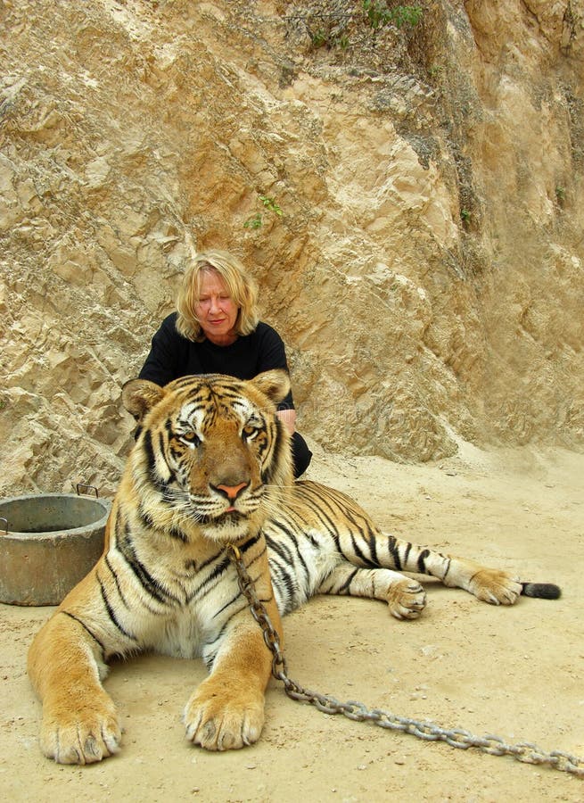 Turista da mulher que olha de sobrancelhas franzidas no interesse para condições cruéis do tigre acorrentado Banguecoque Tiger Te imagem de stock royalty free Turista da mulher que olha de sobrancelhas franzidas no interesse para condições cruéis do tigre acorrentado Banguecoque Tiger Te imagem de stock royalty free