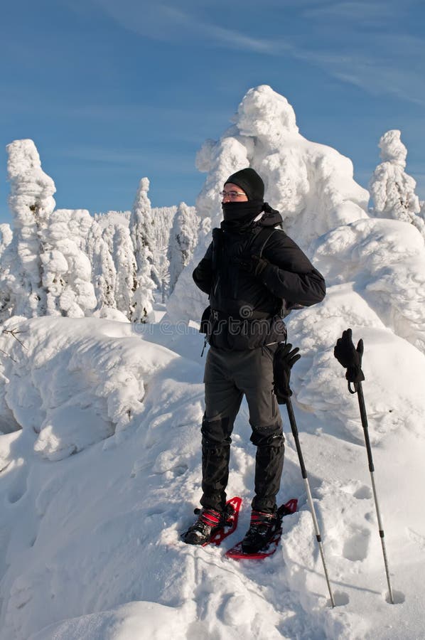 Turista di inverno immagine stock libera da diritti Turista di inverno immagine stock libera da diritti