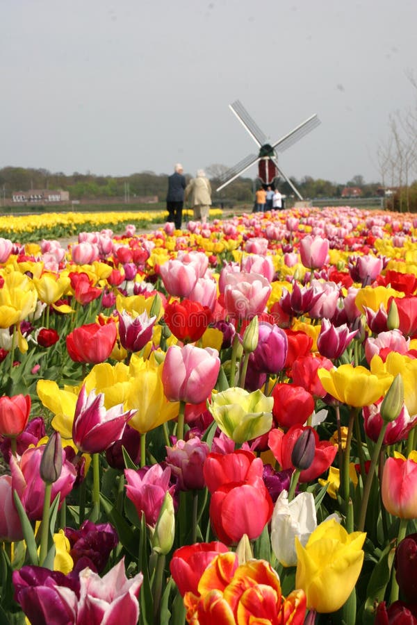 Turista en Holanda Turista en Holanda