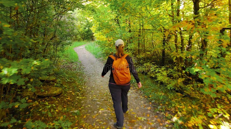 Turistgäst som går i höstskogen