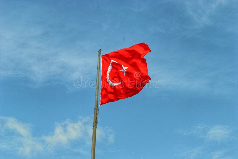Turken sjunker royaltyfria foton Turken sjunker royaltyfria foton