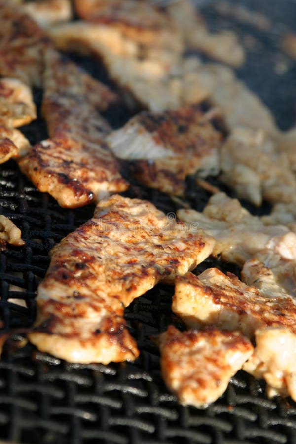 Turkey barbecue royalty free stock image Turkey barbecue royalty free stock image