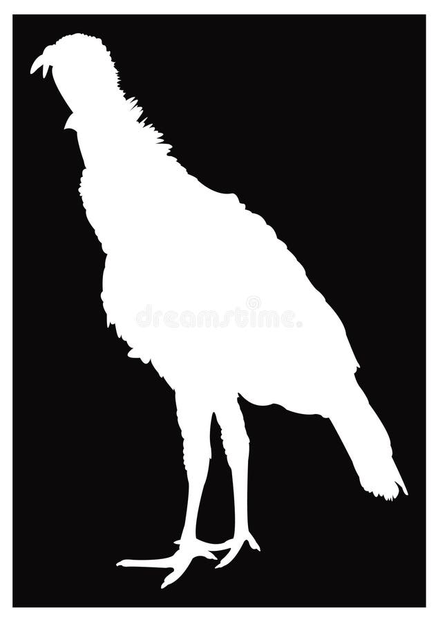 Turkey - bird silhouette