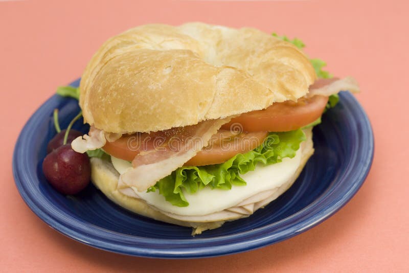 Turkey club croissant stock image. Image of lunch, food 7703065