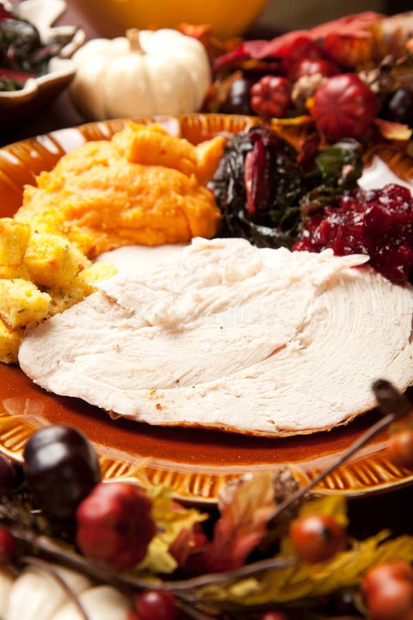 Turkey Dinner stock image. Image of sauce, sweet, garnish - 16388493