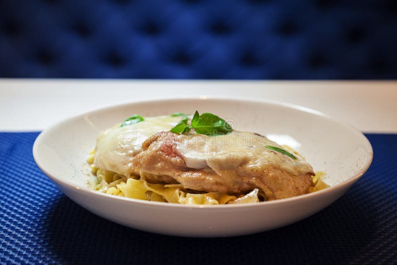 Turkey Meat and Pasta stock image. Image of concept, object 92306929