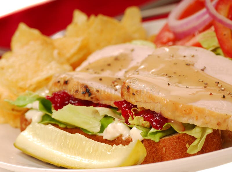 Turkey sandwich