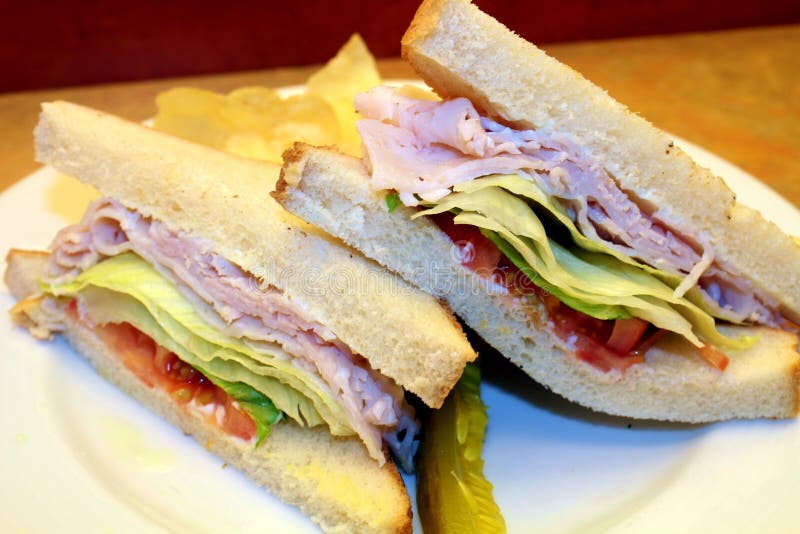 Deli Sliced Turkey Sandwich Stock Image - Image of nutritious, turkey ...