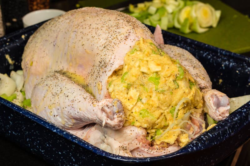 Turkey Stuffed and Ready To Roast Stock Photo Image of domestic
