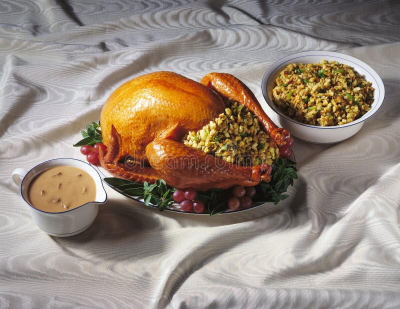 Turkey with Stuffing & Gravy Stock Photo Image of gravy, supper 341664