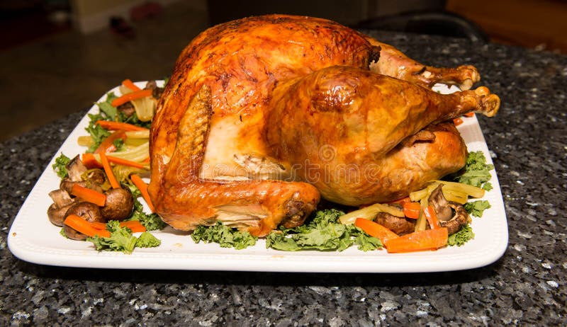 Turkey Thanksgiving stock photo. Image of black, dinner - 62939754