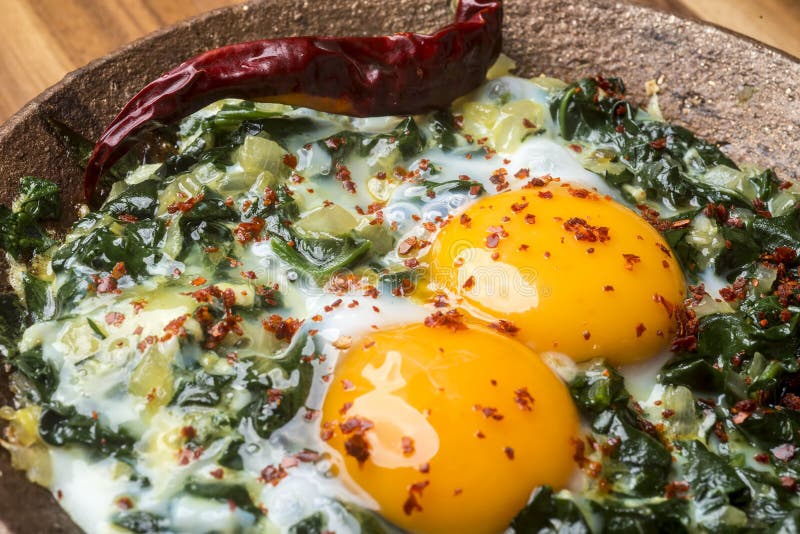 Turkish Food Spinach with Egg. Organic Food Stock Photo Image of