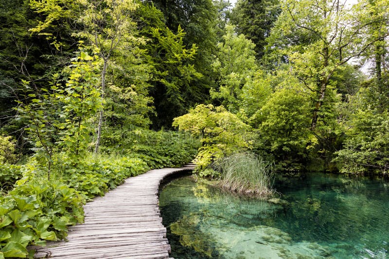 Turkoois gekleurd meer met houten pijler in Plitvice-Meren Nationaal Park stock fotografie Turkoois gekleurd meer met houten pijler in Plitvice-Meren Nationaal Park stock fotografie