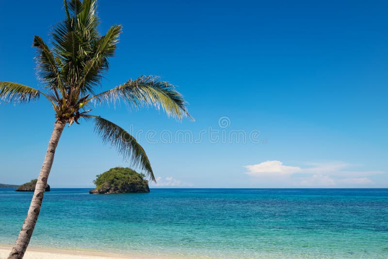 Turkoois oceaanwater en blauwe hemel met palm stock afbeeldingen Turkoois oceaanwater en blauwe hemel met palm stock afbeeldingen