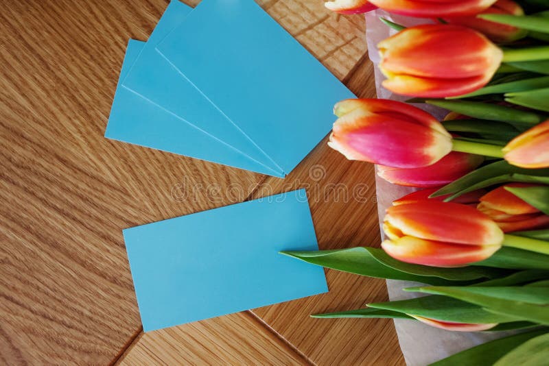 Turkosaffärskort för blomsterhandlaren eller formgivaren, modebransch Stilleben fokus på korten royaltyfri fotografi Turkosaffärskort för blomsterhandlaren eller formgivaren, modebransch Stilleben fokus på korten royaltyfri fotografi
