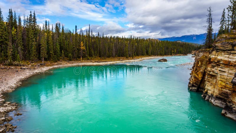 Turkosen färgade vatten av den Athabasca floden royaltyfri bild Turkosen färgade vatten av den Athabasca floden royaltyfri bild